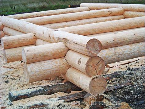 Как защитить древесину от процесса гниения