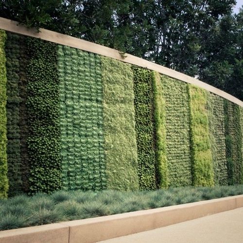 Вертикальное озеленение на даче своими руками: фото, видео инструкции