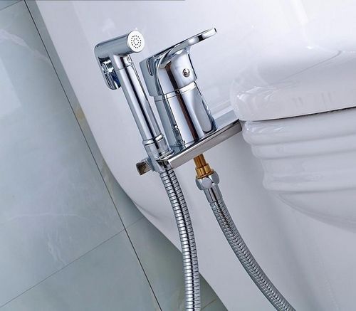 Унитаз с гигиеническим душем: функция биде и фото, встроенная раковина в маленьком туалете подвесная