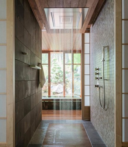 Верхний душ: встроенный потолочный и тропический, отзывы и потолок, лейка в стену и вертикальная душевая