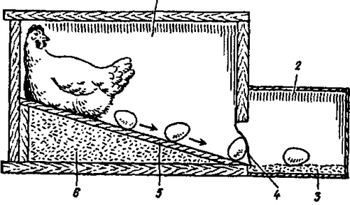 Гнезда для кур несушек своими руками: 3 лучших варианта + пошаговые инструкции!
