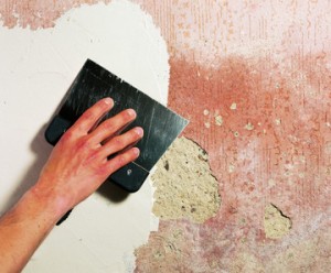 Шпаклевка на краску: видео-инструкция как шпаклевать своими руками, особенности шпаклевания по водоэмульсионным покрытиям, цена, фото