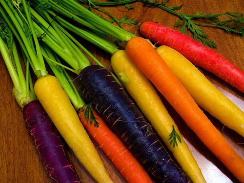 Выращивание моркови в открытом грунте - подробная инструкция