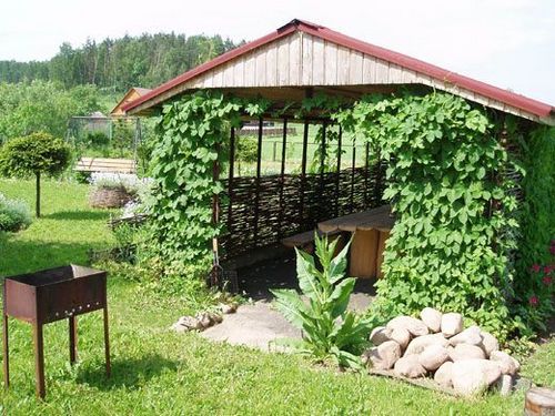 Беседки из сосны, поддонов, ротанга, оцилиндровки, дверей, лиственницы. Фото (беседка, фото) Беседки из сосны, поддонов, ротанга, оцилиндровки, дверей, лиственницы. Фото
