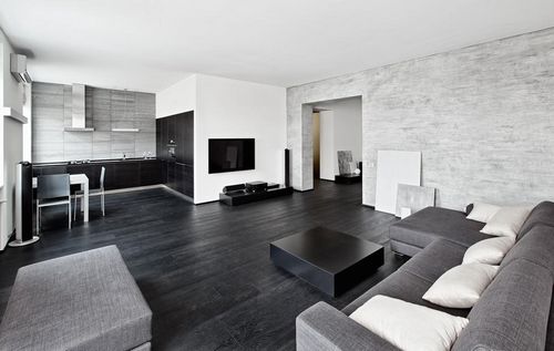 Черно-белая гостиная: фото интерьера, тона и дизайн с яркими акцентами, стильный зал, цвета для квартиры