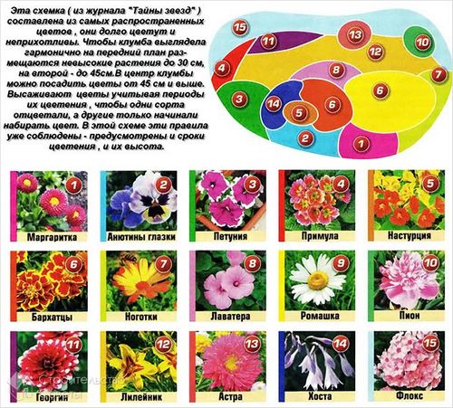Цветники и клумбы своими руками - оформление, идеи (+фото, схемы) (клумба, цветник) Цветники и клумбы своими руками - оформление, идеи (+фото, схемы)