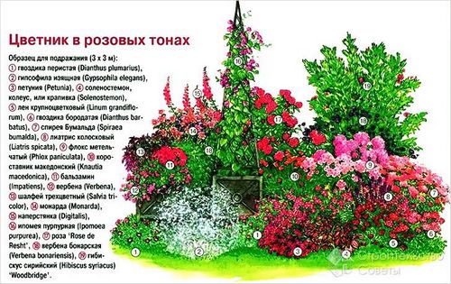 Цветники и клумбы своими руками - оформление, идеи (+фото, схемы) (клумба, цветник) Цветники и клумбы своими руками - оформление, идеи (+фото, схемы)