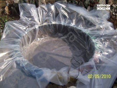 Декоративный пруд из старой покрышки: Дизайн дачного участка! (пруд, покрышка) Декоративный пруд из старой покрышки: Дизайн дачного участка!