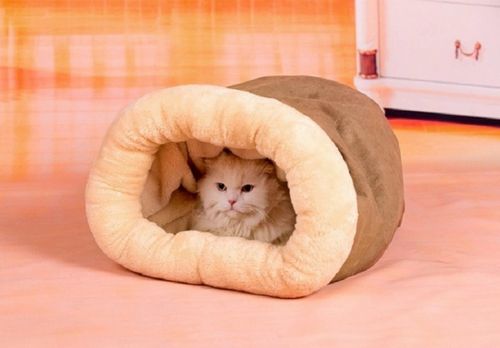 Домик для кошки + фото (домик, кошка, питомец) Домик для кошки + фото