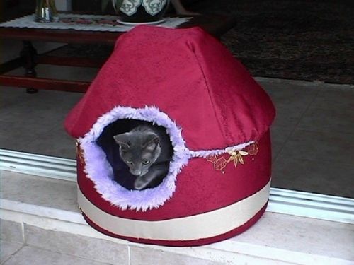 Домики для кошек своими руками + фото (домик, кошка) Домики для кошек своими руками + фото