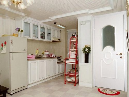 Двери на кухню: фото со стеклом, складные для кухни, нужна ли дверь, роль двери, оформление проема без двери, деревянные, дизайн и размер двери