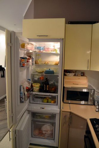 Двухкамерный холодильник Hotpoint-Ariston: встраиваемые модели с системой No Frost, отзывы (холодильник, Ariston, агрегат) Двухкамерный холодильник Hotpoint-Ariston: встраиваемые модели с системой No Frost, отзывы