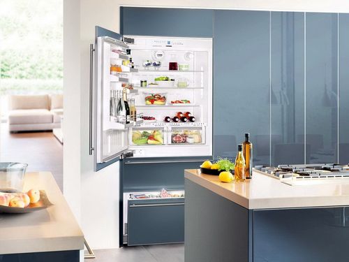 Двухкамерный холодильник Hotpoint-Ariston: встраиваемые модели с системой No Frost, отзывы (холодильник, Ariston, агрегат) Двухкамерный холодильник Hotpoint-Ariston: встраиваемые модели с системой No Frost, отзывы