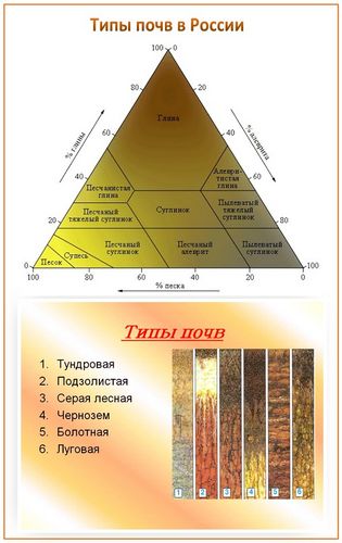 Фундамент на различных типах почв - пучинистом грунте, болоте, песке, глине