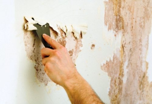 Химический метод очистки стен от краски своими руками. Как почистить стены от старой краски при помощи смывок и растворителей