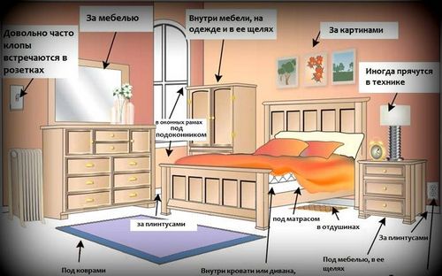 Хотите найти средства от клопов в квартире? Самое эффективное в статье