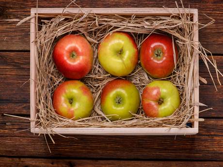 Как хранить яблоки на зиму на балконе: при какой температуре хранить яблоки