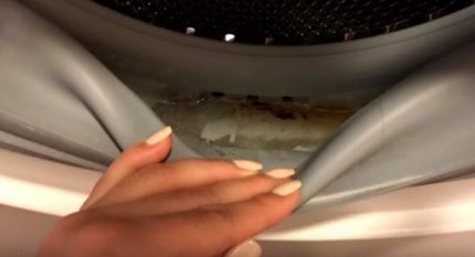 Как и чем почистить стиральную машину: лучшие способы чистки