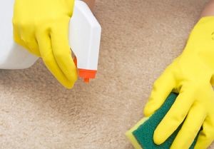 Как почистить ковролин без моющего пылесоса (ковролина, пена) Как почистить ковролин без моющего пылесоса