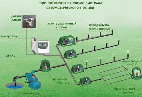 Как правильно выбрать систему полива для газона. (система, полив) Как правильно выбрать систему полива для газона.