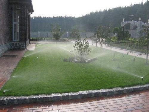 Как правильно выбрать систему полива для газона.