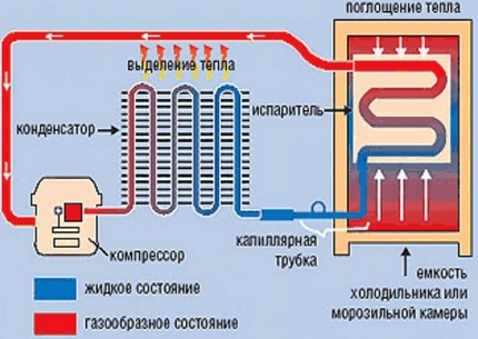 Как работает холодильник: устройство и принцип работы основных типов холодильников