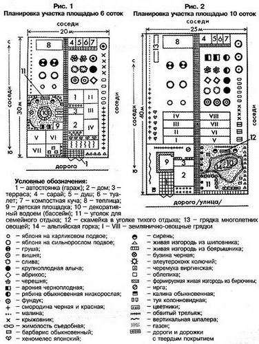 Как распланировать участок 6 соток: фото и видео