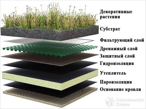 Как сделать газон на крыше - обустройство газона на кровле (крыша, кровля) Как сделать газон на крыше - обустройство газона на кровле