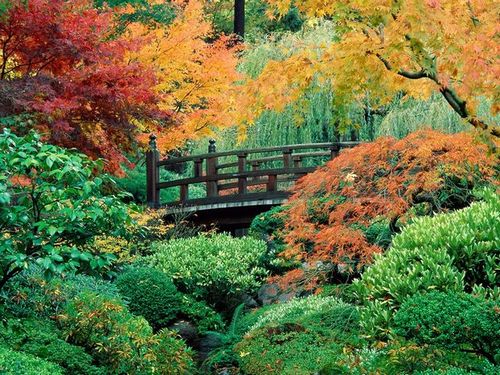 Как сделать японский сад своими руками.