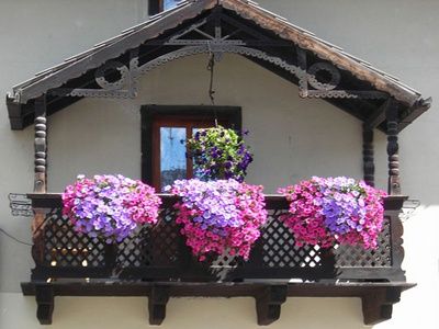 Как украсить балкон цветами - советы профессионального цветовода