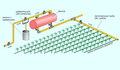 Капиллярная система полива своими руками.