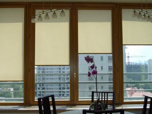 Кассетные рулонные шторы (40 фото): системы установки на пластиковые окна модели кассетного типа
