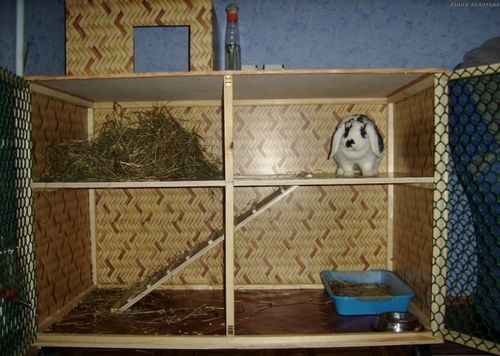Клетка для карликового кролика (клетка, кролик) Клетка для карликового кролика