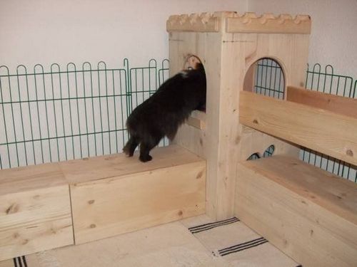 Клетка для карликового кролика (клетка, кролик) Клетка для карликового кролика