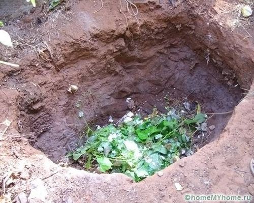 Компостная яма своими руками: варианты изготовления, фото (компостный, конструкция) Компостная яма своими руками: варианты изготовления, фото