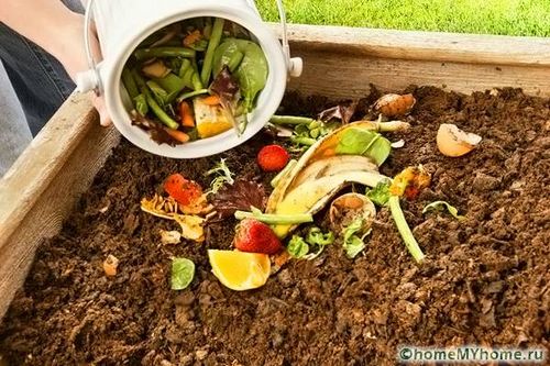 Компостная яма своими руками: варианты изготовления, фото (компостный, конструкция) Компостная яма своими руками: варианты изготовления, фото