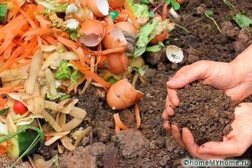 Компостная яма своими руками: варианты изготовления, фото (компостный, конструкция) Компостная яма своими руками: варианты изготовления, фото
