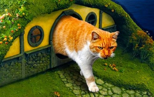 Кошачий домик своими руками (домик, кошачий) Кошачий домик своими руками