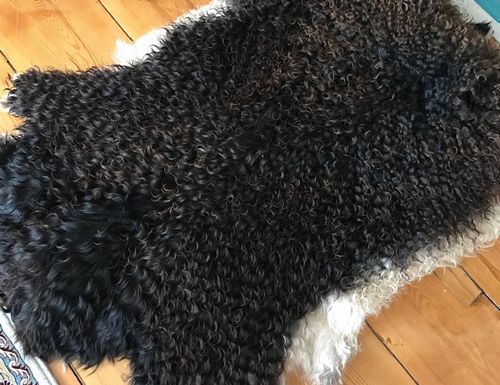 Ковры из меха и кожи: меховые изделия из альпаки, натуральные ковровые покрытия из мутона, шкур коровы, медведя и других животных, искусственные варианты (ковер, покрытие, шкура) Ковры из меха и кожи: меховые изделия из альпаки, натуральные ковровые покрытия из мутона, шкур коровы, медведя и других животных, искусственные варианты