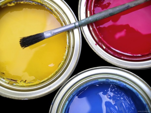 Краска для стен в квартире: как выбрать и корректно применять