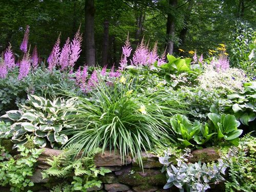 Ландшафтный дизайн цветника (58 фото): оформление участка с домом своими руками, как оформить сад возле бани, виды цветников