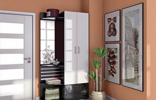 Модульные прихожие (54 фото): мебель и вертикальные картины из модулей, современные системы в стиле «хай-тек» и «класика» из МДФ (мебель, прихожая, модульный) Модульные прихожие (54 фото): мебель и вертикальные картины из модулей, современные системы в стиле «хай-тек» и «класика» из МДФ