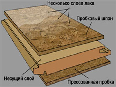 Монтаж пробкового пола своими руками: некоторые особенности, схемы (видео)