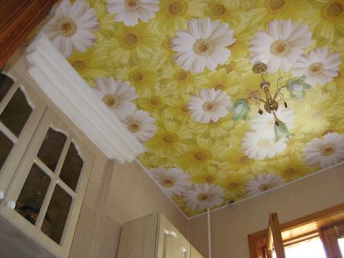 Натяжные потолки с рисунком: картинка и фото, с узорами и наклейками, с цветами и художественными образцами
