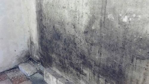 Норма влажности воздуха в квартире и как ее достичь легко и просто