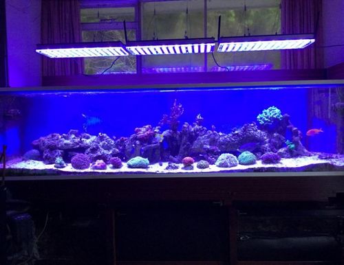 Освещение аквариума