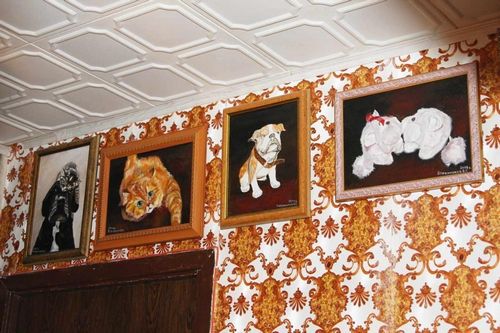 Потолок из пенопласта: панели своими руками, как сделать фото, как прикрепить декор, квадраты (потолок, пенопласт, панель) Потолок из пенопласта: панели своими руками, как сделать фото, как прикрепить декор, квадраты