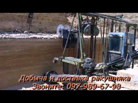 Ракушечник: фото, технические характеристики, отзывы, видео (ракушечник, дом) Ракушечник: фото, технические характеристики, отзывы, видео