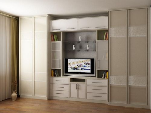 Шкаф в зал: фото в квартире, интерьер во всю стену, красивый дизайн гостиной, виды навесных шкафов, универсальный блок