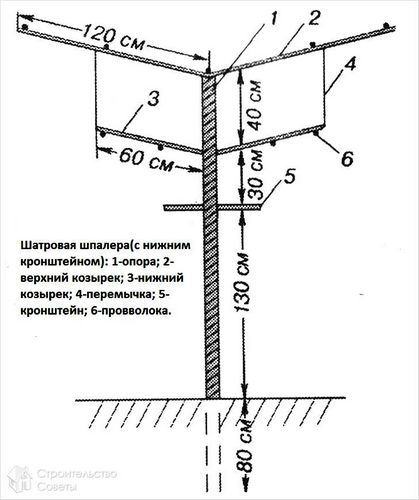 Шпалера своими руками - особенности конструкции и ее сооружение (шпалера, конструкция) Шпалера своими руками - особенности конструкции и ее сооружение
